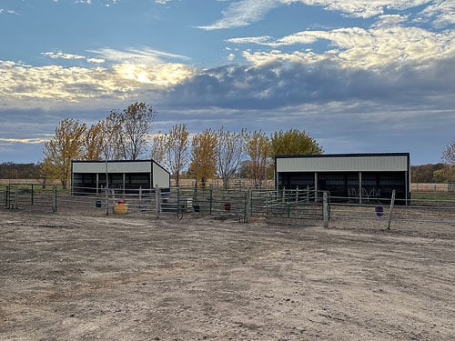 Large outdoor paddocks with lean-to shelters